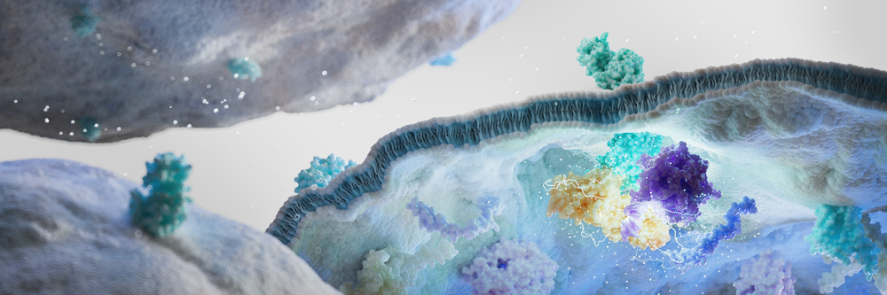 G-Protein Coupled Receptors (GPCR)
