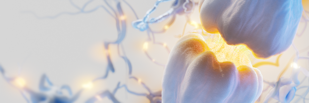 Neural Signaling