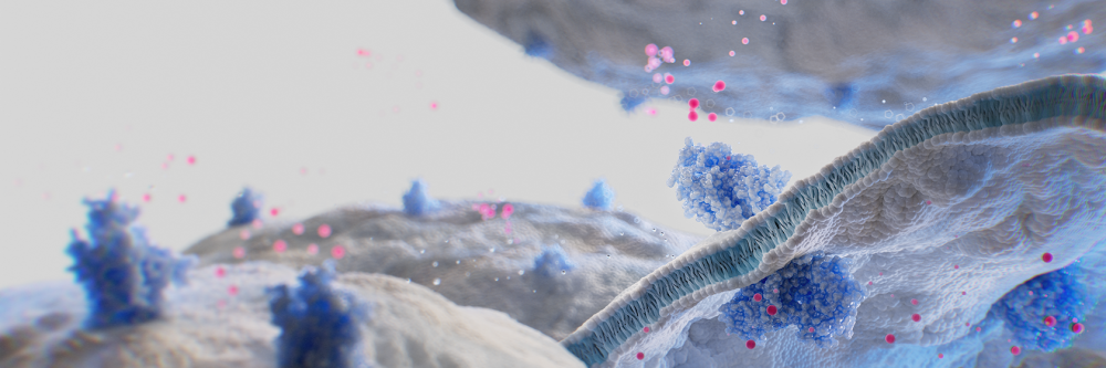 Conjugated Venom-Derived Toxins