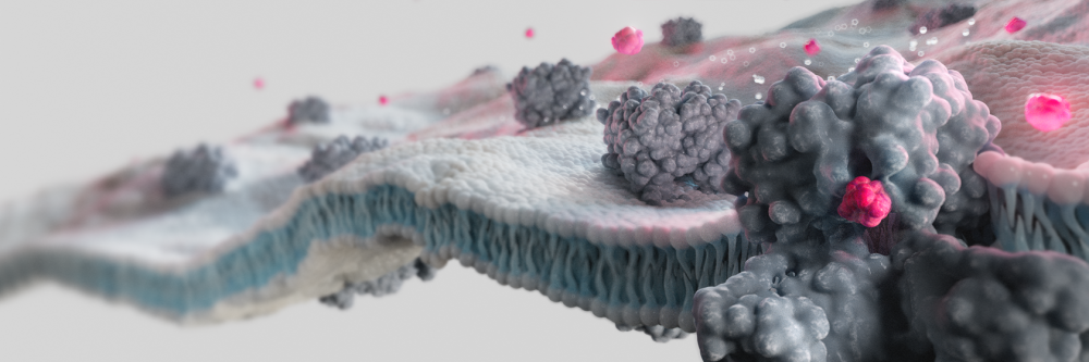 Venom-Derived Toxins