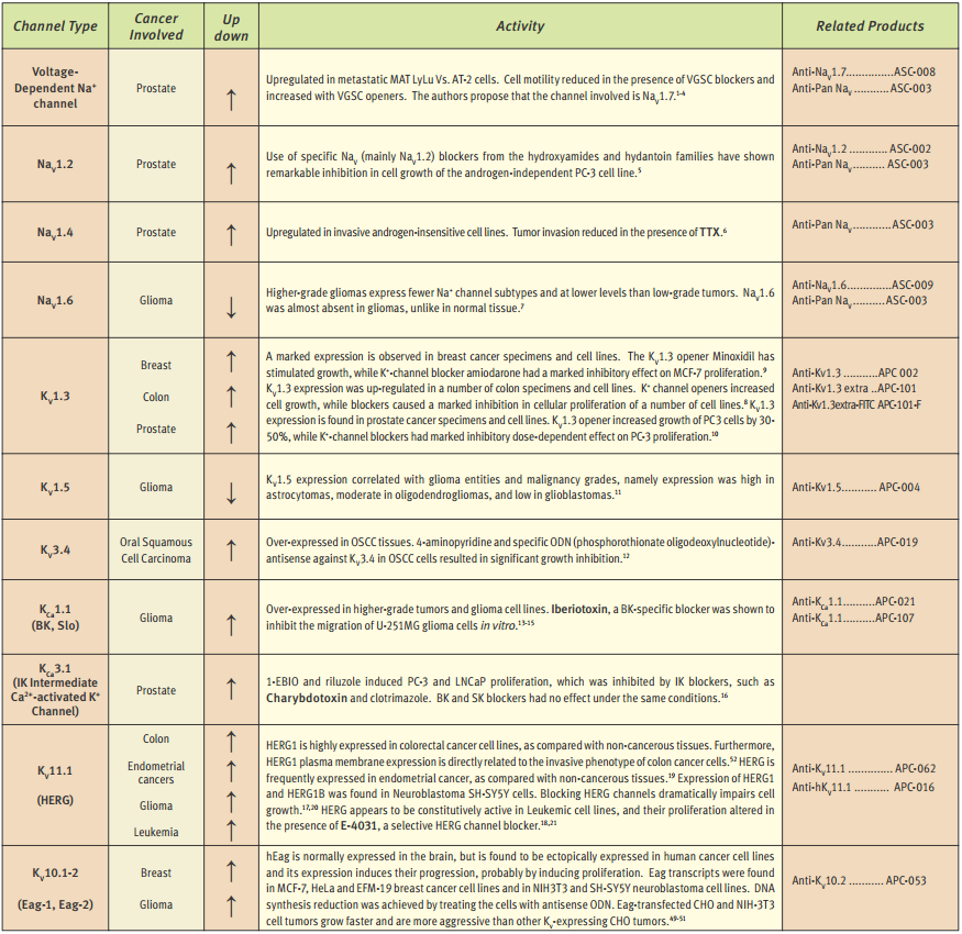 Ion Channels and Cancer