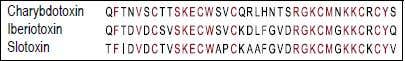 Large Conductance Ca&sup2;⁺-Dependent K⁺ (BKCa) Channels
