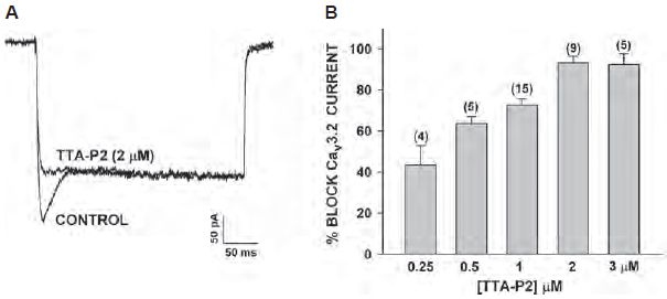 TTA-P2 and TTA-A2: Specific and Potent Caᵥ3 Channel Blockers
