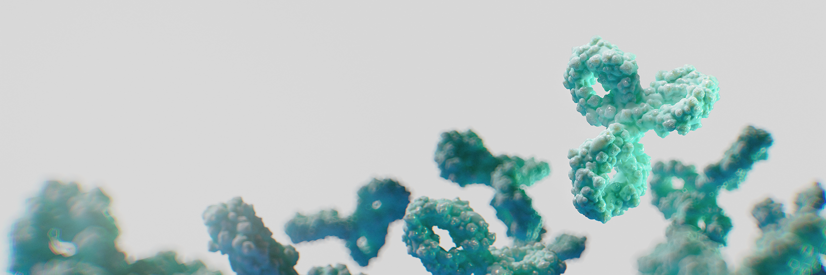 Primary Antibodies