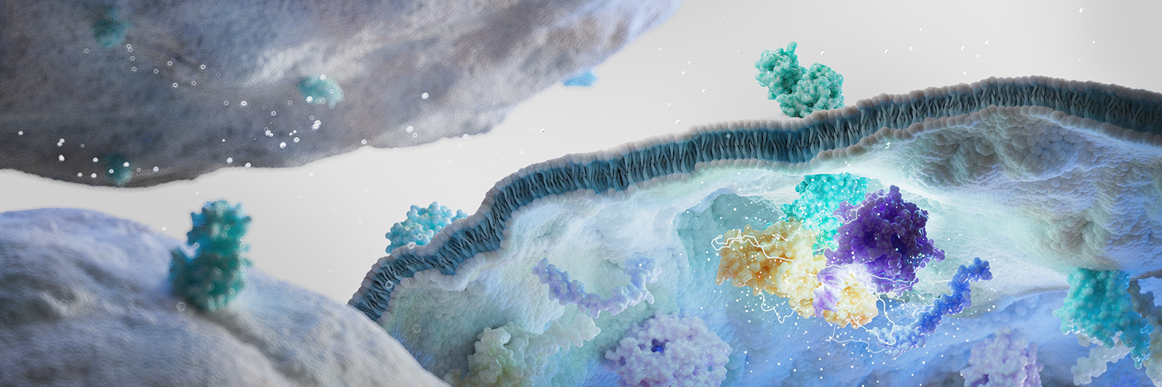 Peptides and GPCR Ligands