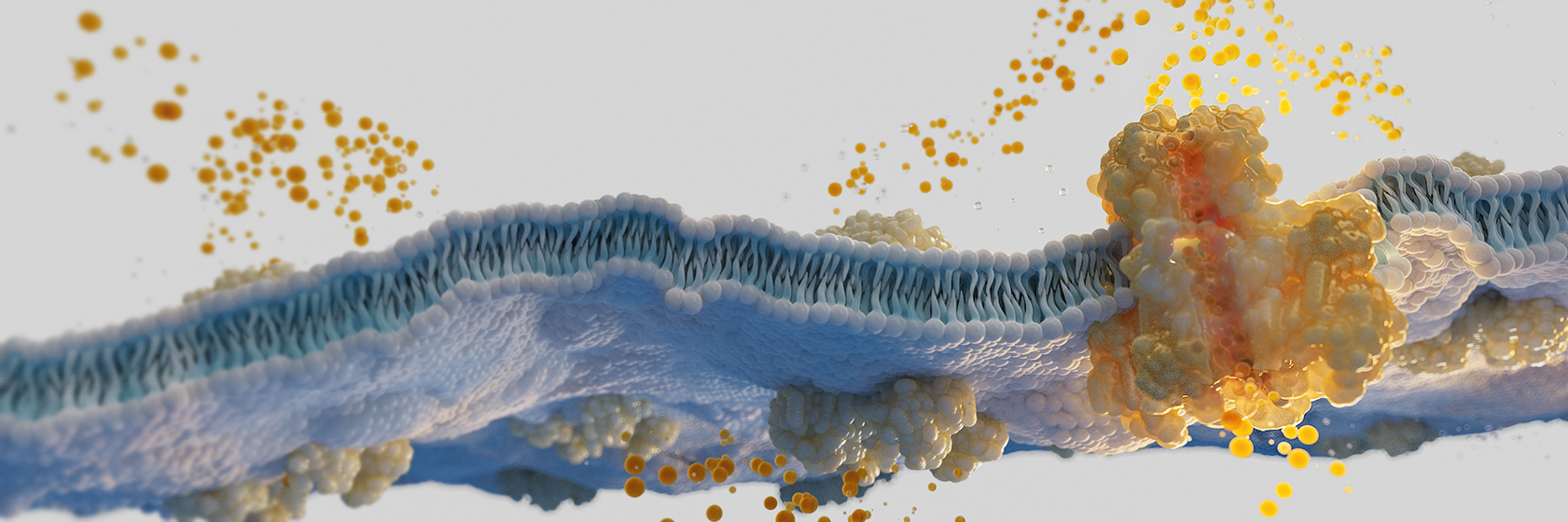 Ion Channels