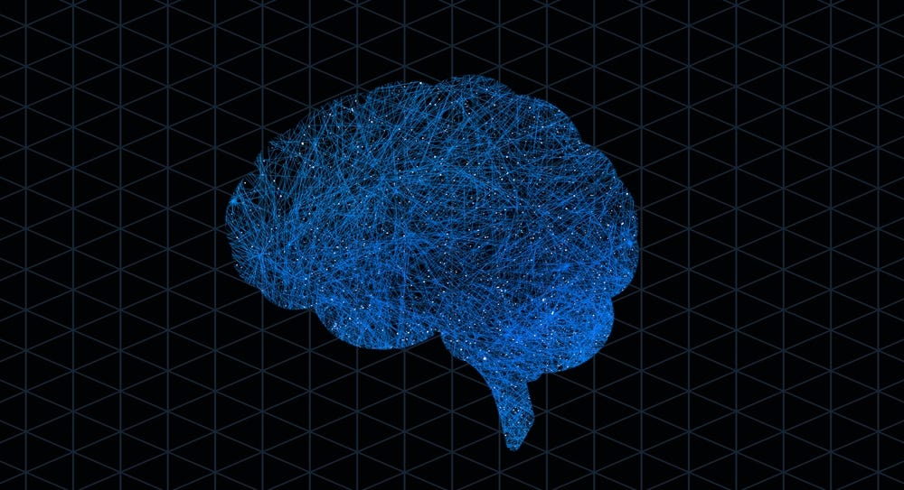 Neuroscience