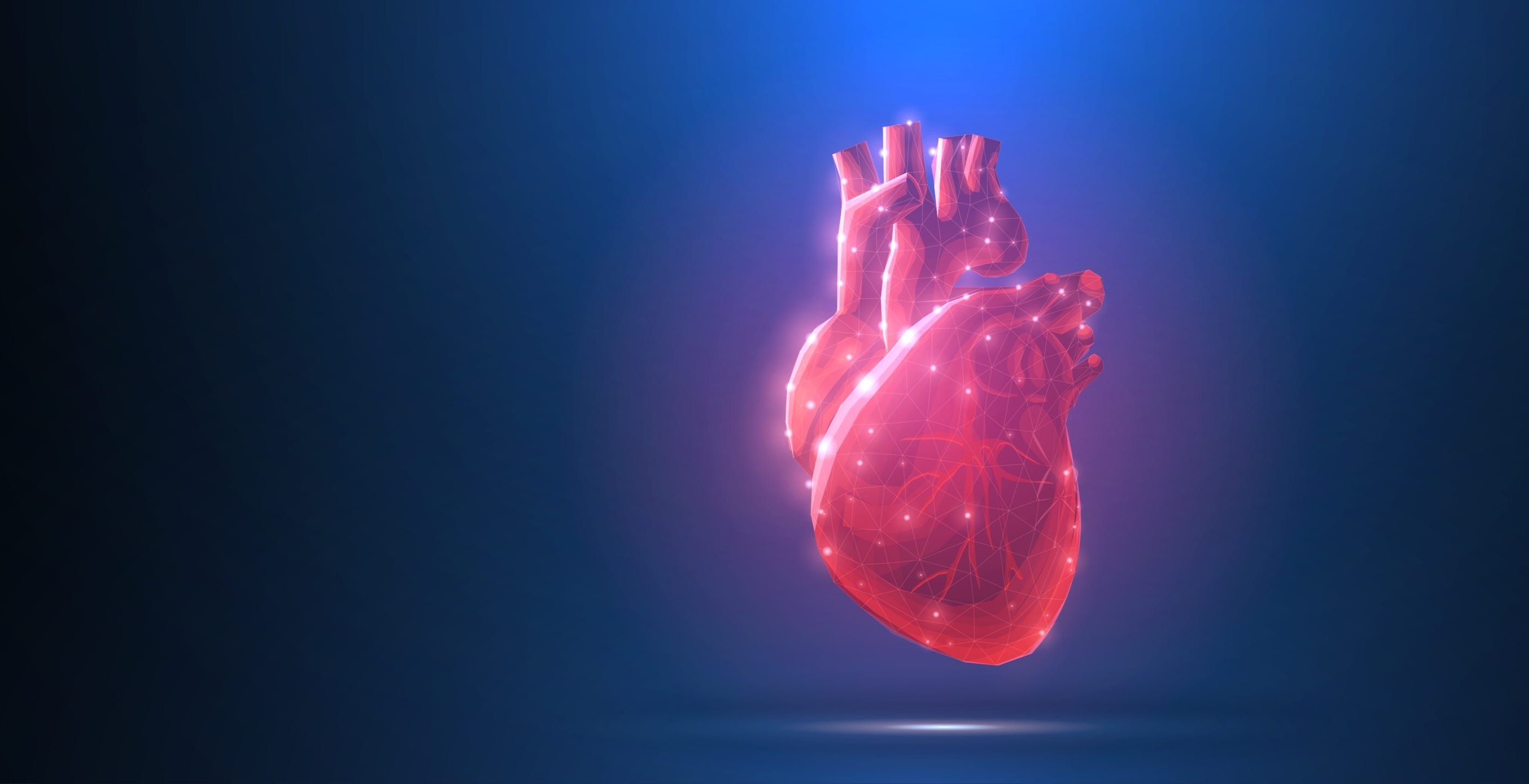 Cardiovascular