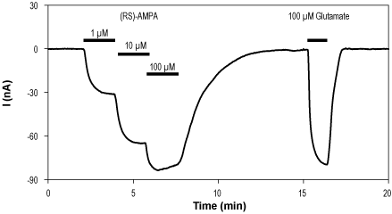 (RS)-AMPA