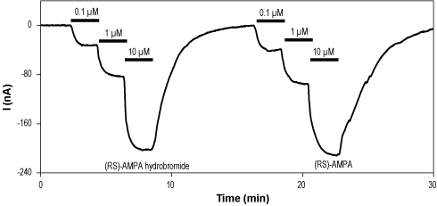 (RS)-AMPA hydrobromide