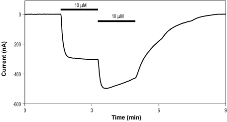 (S)-AMPA
