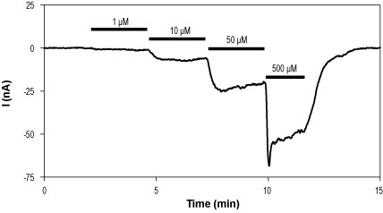 cis-ACBD