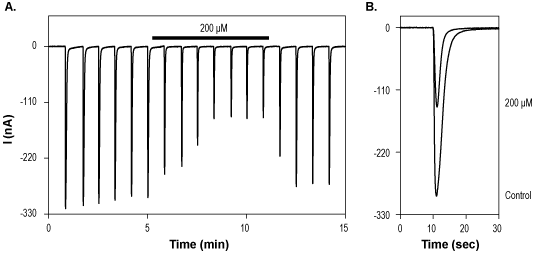 Arcaine sulfate