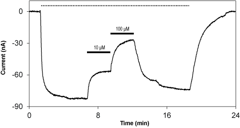 (S)-ATPO