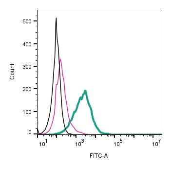 Anti-ACE2 (extracellular)-FITC Antibody