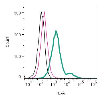 Anti-Adenosine A<sub>2B</sub> Receptor (extracellular)-PE Antibody
