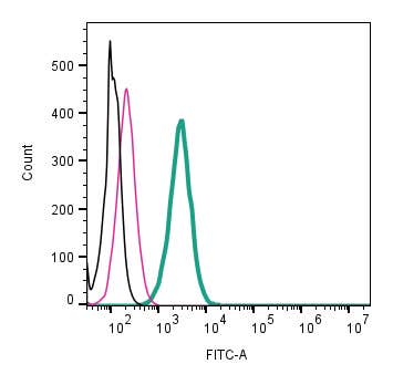 Anti-Adenosine A1 Receptor (extracellular)-FITC Antibody