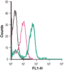 Anti-Angiotensin II Receptor Type-1 (extracellular)-FITC Antibody