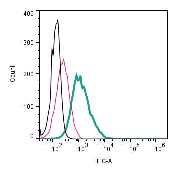 Anti-α<sub>1A</sub>-Adrenergic Receptor (extracellular)-FITC Antibody