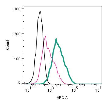 Anti-β<sub>1</sub>-Adrenergic Receptor (extracellular)-APC Antibody