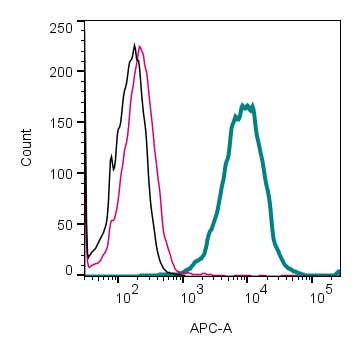 Anti-Human Adenosine A3 Receptor (extracellular) Antibody