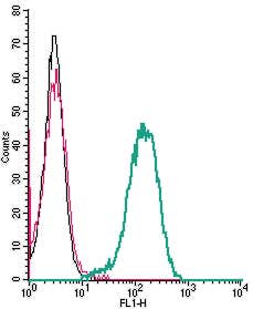 Anti-Human C3aR (extracellular) Antibody