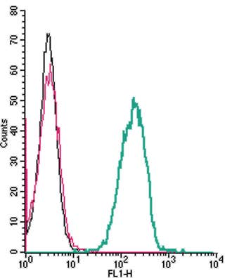Anti-Human C5aR1 (extracellular) Antibody