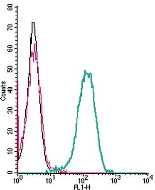 Anti-Human C5aR2 (extracellular) Antibody