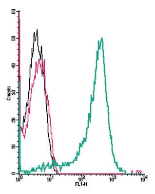 Anti-Adenosine A<sub>3</sub> Receptor (extracellular)-FITC Antibody