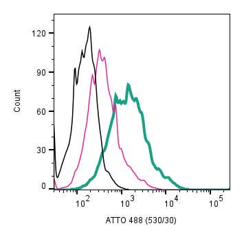 Anti-Adenylate Cyclase 3 (AC3) (extracellular)-ATTO Fluor-488 Antibody