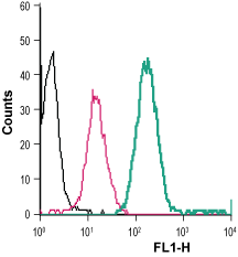 Anti-BAI1 (extracellular)-FITC Antibody