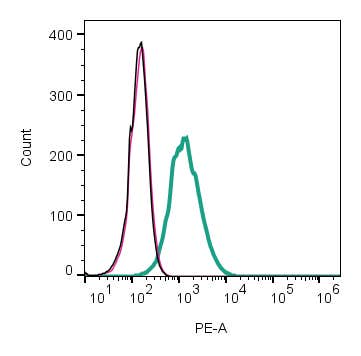 Anti-ACVRL1 (extracellular) Antibody