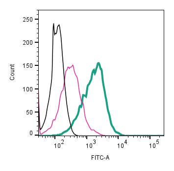 Anti-TRPV1 (VR1) (extracellular)-ATTO Fluor-488 Antibody