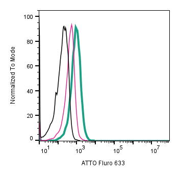 Anti-TRPV3 (extracellular)-ATTO Fluor-633 Antibody