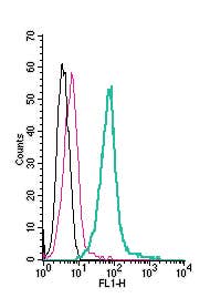 Anti-TRPM6 (extracellular)-FITC Antibody