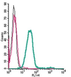 Anti-Orai1 (extracellular)-FITC Antibody