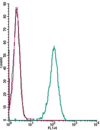 Anti-TRPC1 (extracellular) Antibody