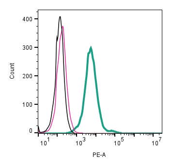 Anti-TRPV4 (extracellular) Antibody- PE Antibody