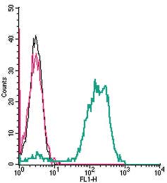 Anti-Human TRPV2 (VRL1) (extracellular) Antibody