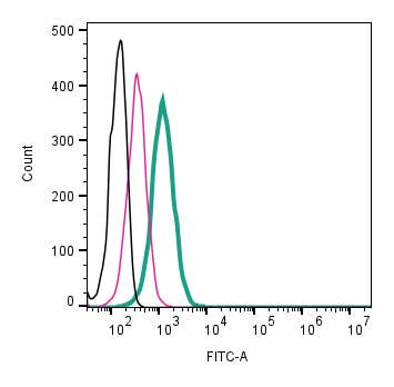 Anti-CALHM2 (extracellular)-FITC Antibody