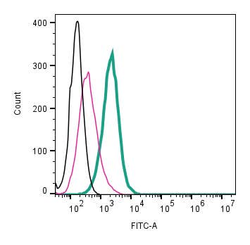 Anti-Ca<sub>V</sub>1.3 (CACNA1D) (extracellular)-FITC Antibody