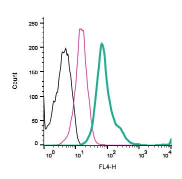 Anti-Human TRPV1 (extracellular)-APC Antibody