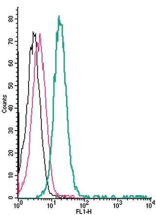 Anti-Human TRPV1 (extracellular)-FITC Antibody