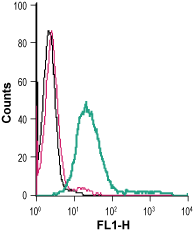 Anti-Anoctamin-6 (extracellular)-FITC Antibody