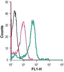 Anti-Calcium Sensing Receptor (extracellular)-FITC Antibody