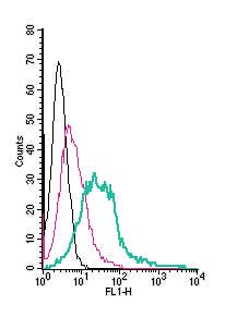 Anti-CXCR4 (extracellular)-FITC Antibody