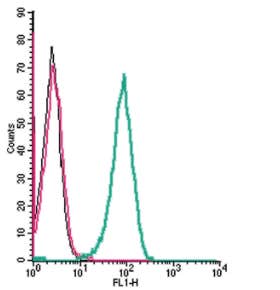 Anti-Human CCR5 (extracellular) Antibody
