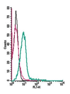 Anti-CCR9 (extracellular) Antibody