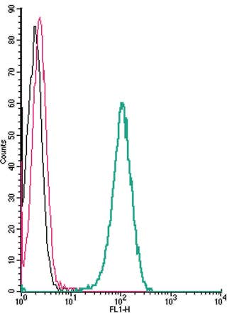 Anti-CXCR7 (ACKR3) (extracellular) Antibody