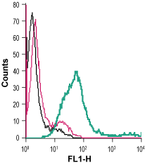 Anti-CRF1/CRHR1 (extracellular)-FITC Antibody